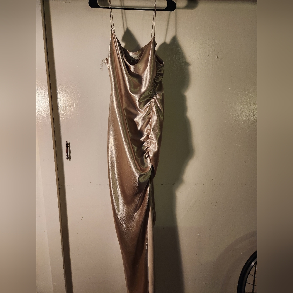 Anthropologie, Sachin & Babi, size 16, champagne, dress